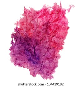 Watercolor spot. Vector illustration.