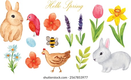 watercolor spring season clipart rabbit, bird, flower, lavender, tulip, daffodil, daisy, egg, bee, chickhen and leaf