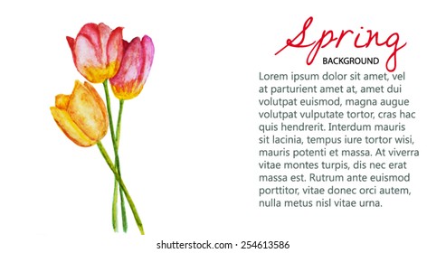 watercolor spring tulip background. Vector version