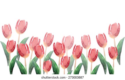 Watercolor spring tulip, vector