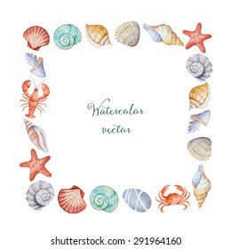 Watercolor square frame of sea shells, vector illustration.