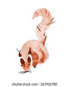 watercolor squirrel. Watercolor hand drawn brush vector 