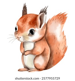 Watercolor squirrel. Woodland animals. Hand drawn squirrel. Clip art image.