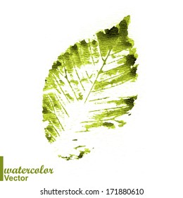 Watercolor stamp of a leaf. Think Green. Colorful watercolor stamped painted leaves. Vector illustration. ECO green. Prints of leaves.