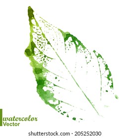 Watercolor stamp of a leaf. Think Green. Colorful watercolor stamped painted leaves. Vector illustration. ECO green. Prints of leaves.