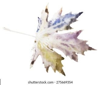 Watercolor stamp of a maple leaf.