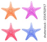 Watercolor starfish. Vector illustrations of sea animals