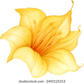 Watercolor stickers set clipart brugmansia flower