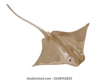 Watercolor stingray on a white background  