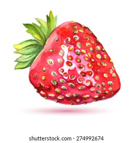 Watercolor strawberry isolated on white background. Organic food illustration.