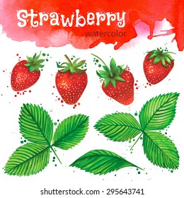 Watercolor strawberry isolated on white background. Vector illustration. Elements for your design.