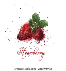 Watercolor Strawberry & Splash creative design vector template. Elegant concept for Biscuit Factory & Bakery Pastry shop. Organic food logotype. Grunge healthy food illustration. Watercolor texture.