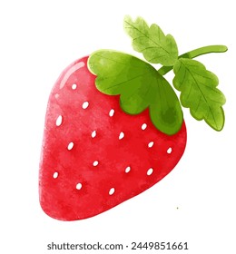 Watercolor strawberry. Vector illustration. Isolated on white background.