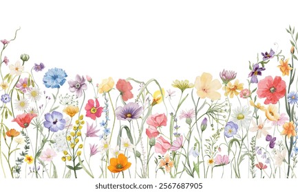 Watercolor style beautiful wildflowers, field of flowers, long decorative border isolated on a clear background, vector illustration.