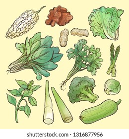 Watercolor style collection of vegetables  in Asia.