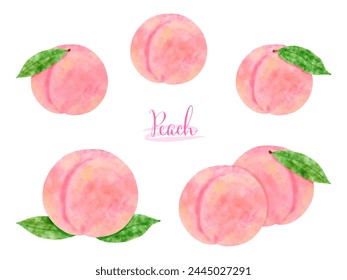 Watercolor style fresh peach illustration set