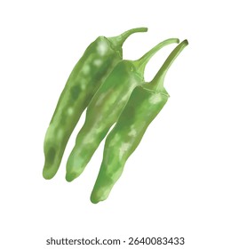Watercolor style Fresh Shishito Pepper Japanese Vegetable