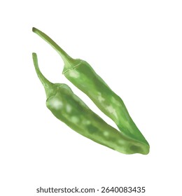 Watercolor style Fresh Shishito Pepper Japanese Vegetable