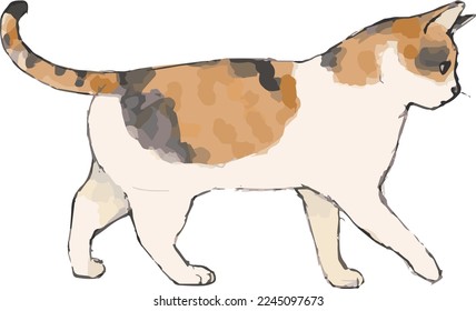 watercolor style hand drawn illustration of a cat