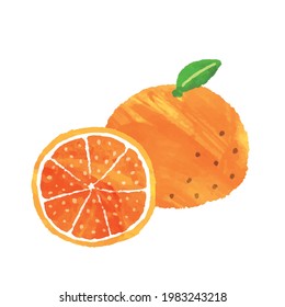 [Watercolor style] Illustration material of mandarin oranges