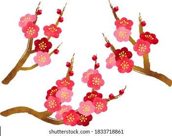 Watercolor style illustration set of plum blossoms, buds and branches