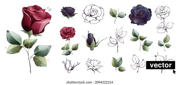 Ilustraciones de color de agua conjunto de rosas de jardín de flores, capullos, hojas y ramas de tinta rojo rojo y azul marino. Ilustración botánica vectorial transparente aislada en fondo blanco.