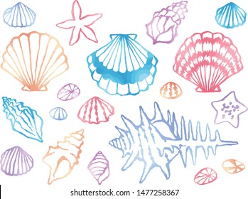 Watercolor style line drawing illustration set of scallops, snails and starfish