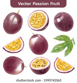 Aquarell-Stil der Passionsfrucht auf weißem Hintergrund. Vektorgrafik von Passionsfrucht 