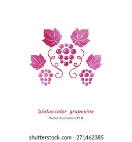 Watercolor style pink grapevine. Vector illustration.