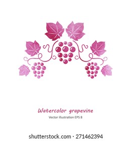 Watercolor style pink grapevine. Vector illustration.