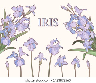 Watercolor style purple iris garden on beige background