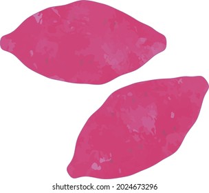 Watercolor Style Sweet Potato Illustration