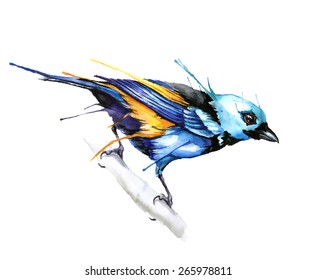 Watercolor style vector illustration of bird