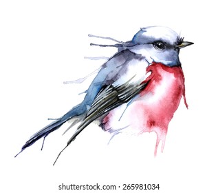 Watercolor style vector illustration of bird. isolated on white