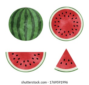 Watercolor style vector illustration of a watermelon.