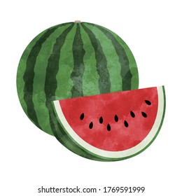 Watercolor style vector illustration of a watermelon.