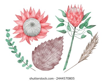 Watercolor style vector illustrations set of protea flower and bloom, palm leaf and eucalyptus branch. Tropical flora isolated on white background