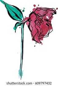 watercolor style vector red rose isolated