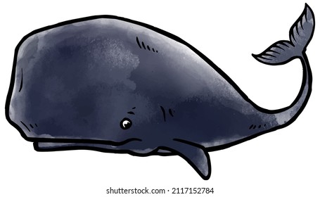 watercolor style whale hand drawn vector illustration.