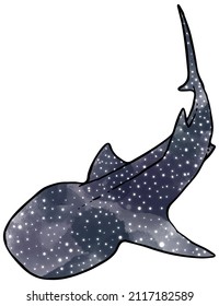 watercolor style whale shark hand drawn vector illustration.