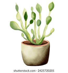 Watercolor succulent and cactus plants in pot. Watercolor flower pot isolated on white. Mexican plants