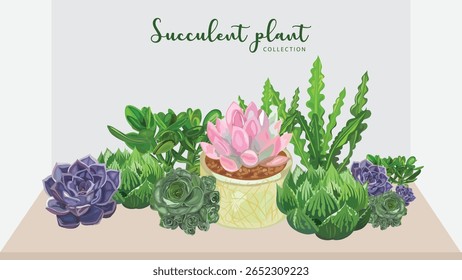 Watercolor succulent plants and cactus vector set isolated on white
