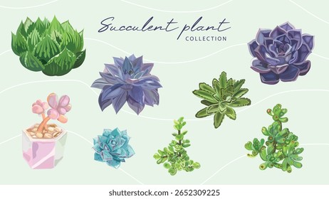 Plantas aquarelas suculentas e conjunto de vetores de cactos isolados no branco