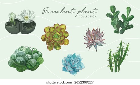 Watercolor succulent plants and cactus vector set isolated on white
