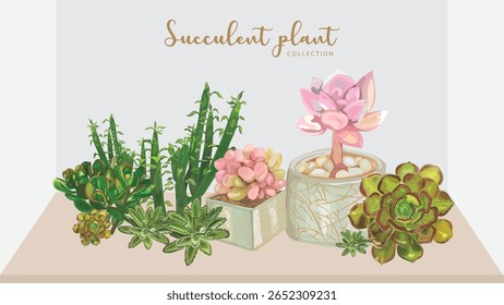 Watercolor succulent plants and cactus vector set isolated on white