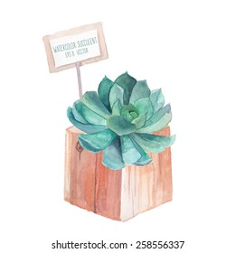 Watercolor succulent in wood box with rustic card. Hand painted vintage garden illustration. Vector floral artwork.