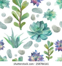 Watercolor succulents pattern. Seamless texture with objects: plants, succulent, stones. Hand painted vintage gardening background. Vector floral background.