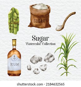 Watercolor Sugar Set Sugarcane Clip Art. Hand Drawn Sugar Collection Illustration