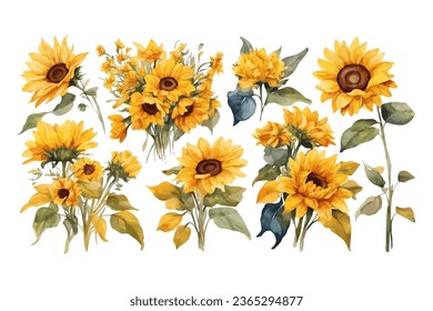 watercolor sunflower element set isolated on white background