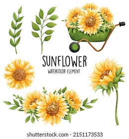 Girasol acuarela, verano. Ilustración del vector